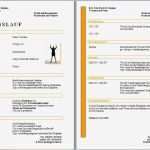 Wohnungsübergabeprotokoll Vorlage Elegant Bewerbung Vorlage Mit Vordruck Vorlagen Und Muster