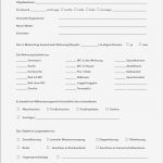 Wohnungsübergabeprotokoll Vorlage Schön Kostenloses Wohnungsübergabeprotokoll Pdf Download
