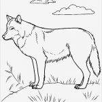 Wolf Tattoo Vorlage Einzigartig Seite 2