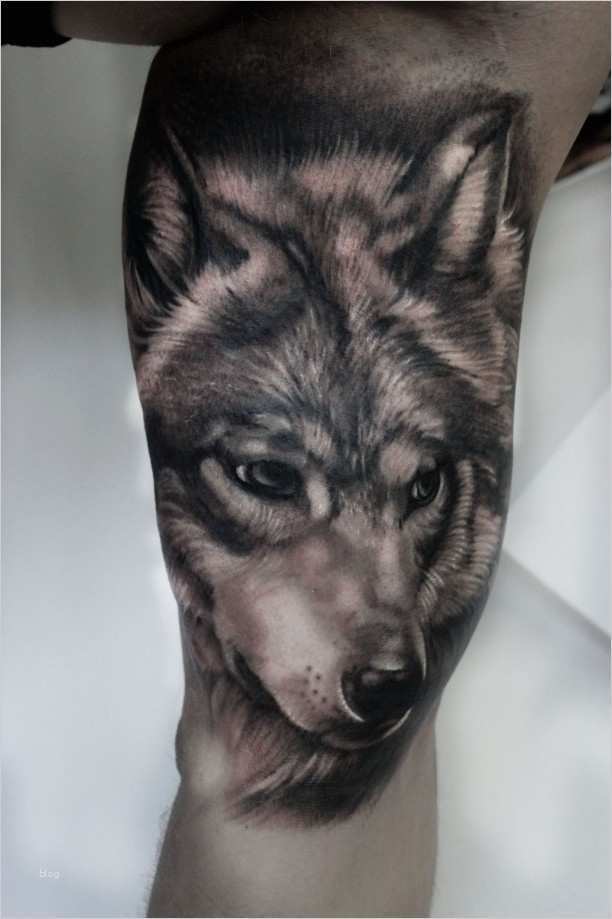Wolf Tattoo Vorlage Elegant Wolf Tattoo 3d Oberarm
