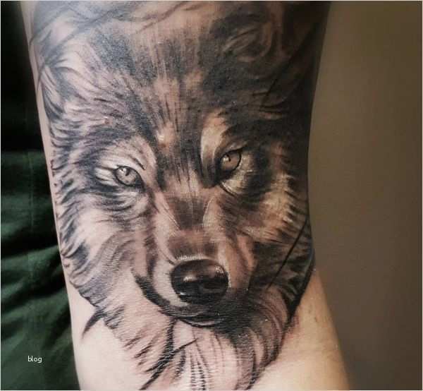 Wolf Tattoo Vorlage Fabelhaft 26 Wolf Tattoo Ideen – Bilder Und Bedeutung