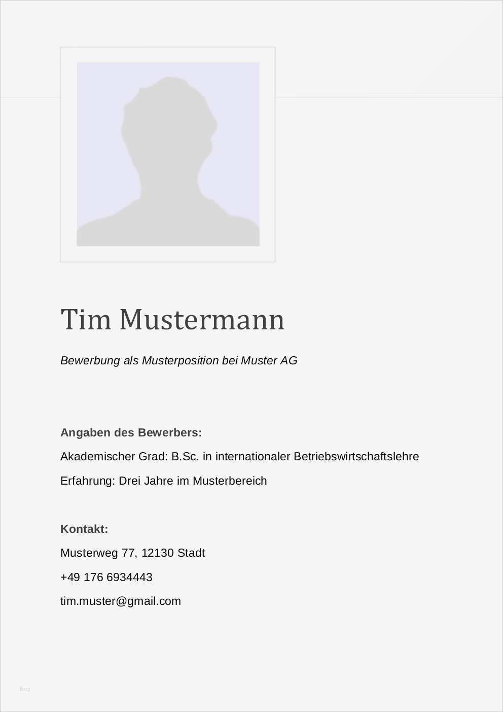 Word Deckblatt Vorlagen Elegant Bewerbungsmuster Sachbearbeiter