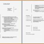 Word Vorlage Bewerbung Lebenslauf Erstaunlich 9 Word Vorlage Bewerbung