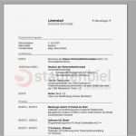 Word Vorlage Bewerbung Lebenslauf Fabelhaft Vordruck Tabellarischer Lebenslauf Lebenslauf Beispiel