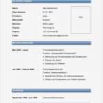 Word Vorlage Bewerbung Lebenslauf Gut Lebenslauf Muster &amp; Vorlagen