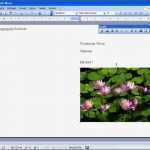 Word Vorlage Broschüre 2 Seitig Großartig Microsoft Word 2003 Einladung A5
