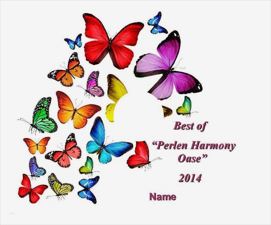 Word Vorlage Cd Etiketten Erstaunlich Perlen Harmony Oase Gestalten Sie Ihre Eigene Cd „best