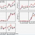 Word Vorlage Flyer 3 Spaltig Bewundernswert Berühmt Vorlagen Für Flyer Fotos Vorlagen Ideen