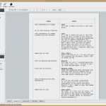 Word Vorlage Fragebogen Genial tolle Fragebogen Vorlage Pdf Ideen Entry Level Resume