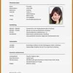 Word Vorlage Mit Makros Best Of 8 Elternzeit Im Lebenslauf