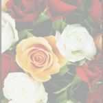 Word Vorlage Weihnachten Briefpapier Erstaunlich Kostenloses Briefpapier "liebe" Vorlagen Zum Selbst