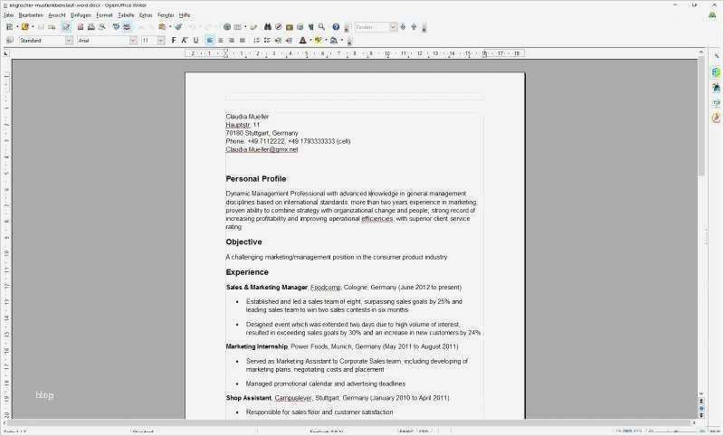 Word Vorlage Zertifikat Schön Erfreut Zertifikatvorlage Kostenlos Zeitgenössisch