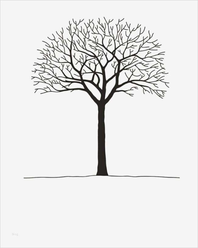 Wortgottesdienst Vorlagen Wunderbar Ungewöhnlich Vorlage Für Hochzeit Bilder