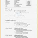 Wunddokumentation Vorlage Erstaunlich Erfreut Muster Pflegeplan Vorlage Galerie Ideen