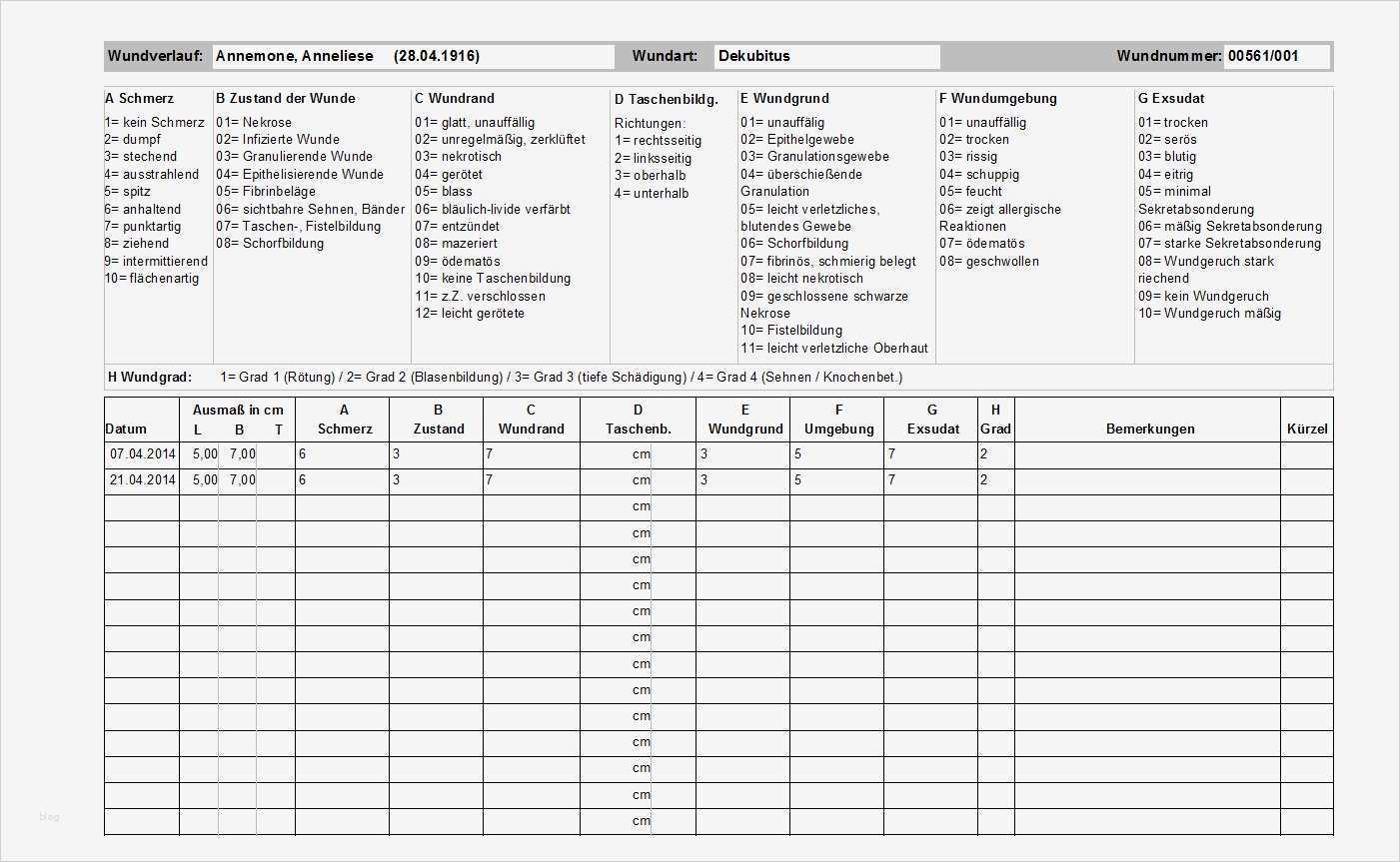 Wundprotokoll Vorlage Großartig Kurzbeschreibung Wunddokumentation