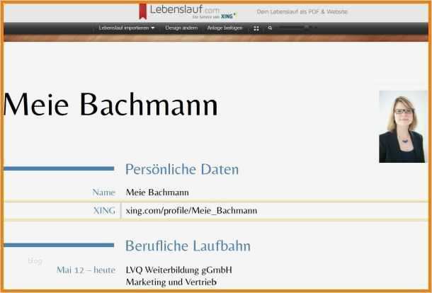 Xing Kündigung Vorlage Inspiration 13 Lebenslauf Vorlage Xing