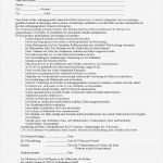 Zahlungserinnerung Miete Vorlage Wunderbar Berühmt Mieten Rechnung Zeitgenössisch fortsetzung