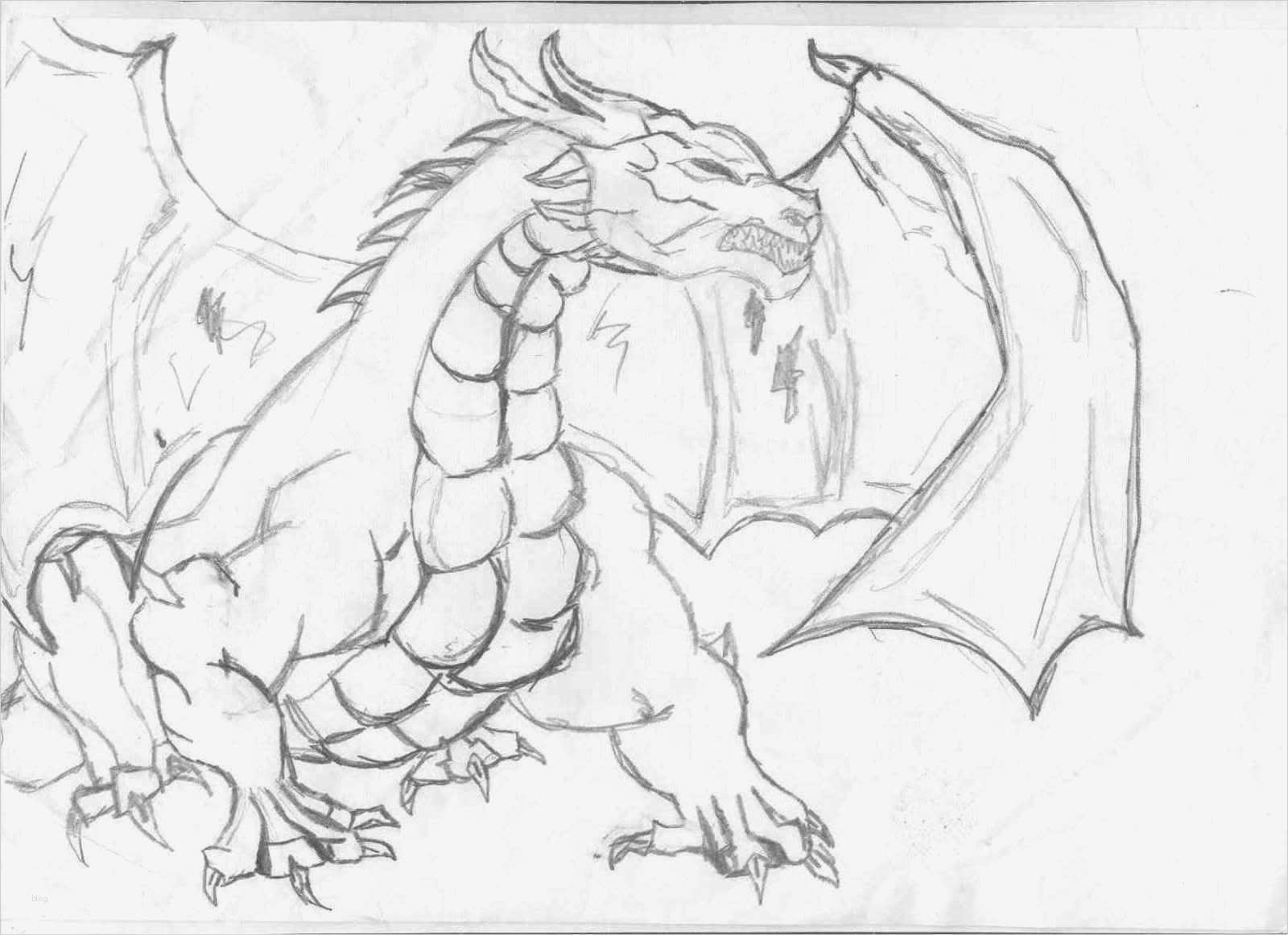 Zeichen Vorlagen Einzigartig Drachen Und andere Fabelwesen Bilder Tattoos Geschichten