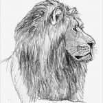 Zeichen Vorlagen Genial Einen Löwen Zeichnen Lernen