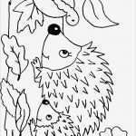 Zeichen Vorlagen Kinder Beste Die Besten 25 Ausmalbilder Herbst Ideen Auf Pinterest