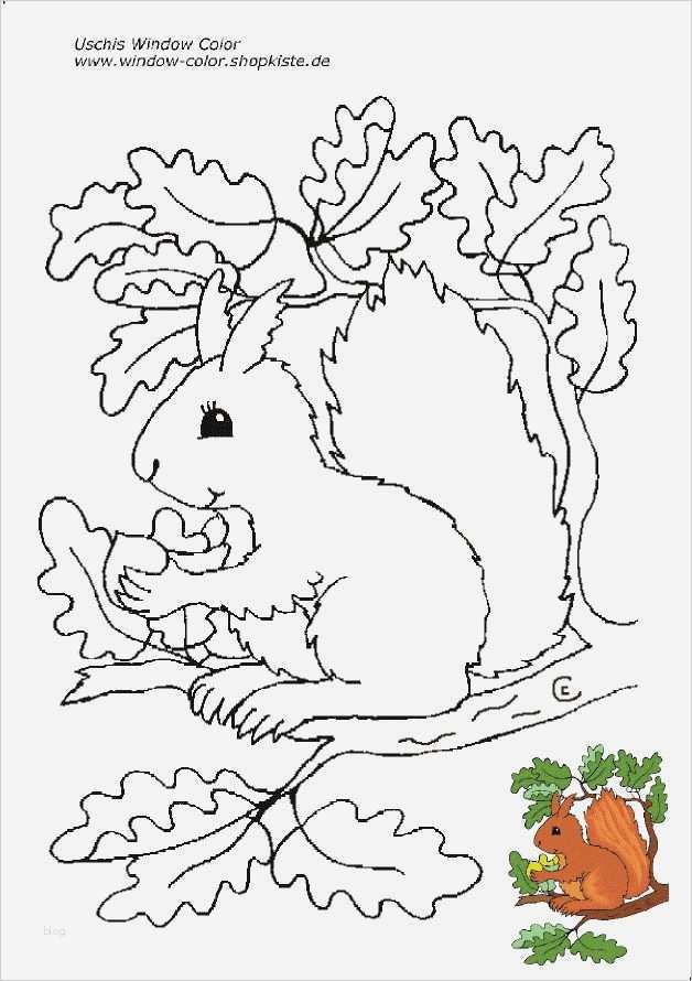 Zeichen Vorlagen Kinder Wunderbar Die Besten 25 Eichhörnchen Zeichnen Ideen Auf Pinterest