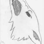 Zeichnen Anfänger Vorlagen Erstaunlich Dibujos Manga