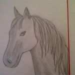 Zeichnen Anfänger Vorlagen Genial Zeichnen Lernen Für Anfänger Pferd Malen Pferdeportrait