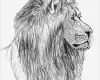 Zeichnen Lernen Vorlagen Anfänger Angenehm Einen Löwen Zeichnen Lernen