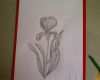 Zeichnen Lernen Vorlagen Anfänger Genial Iris Blume Zeichnen Iris Malen Zeichnen Lernen Für