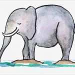 Zeichnen Vorlagen Schönste Kunst Bild themen Tiere Tiere Zeichnen