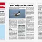 Zeitung Vorlage Word Elegant Vorlage Für Eine Zeitung A4 Für Adobe Indesign