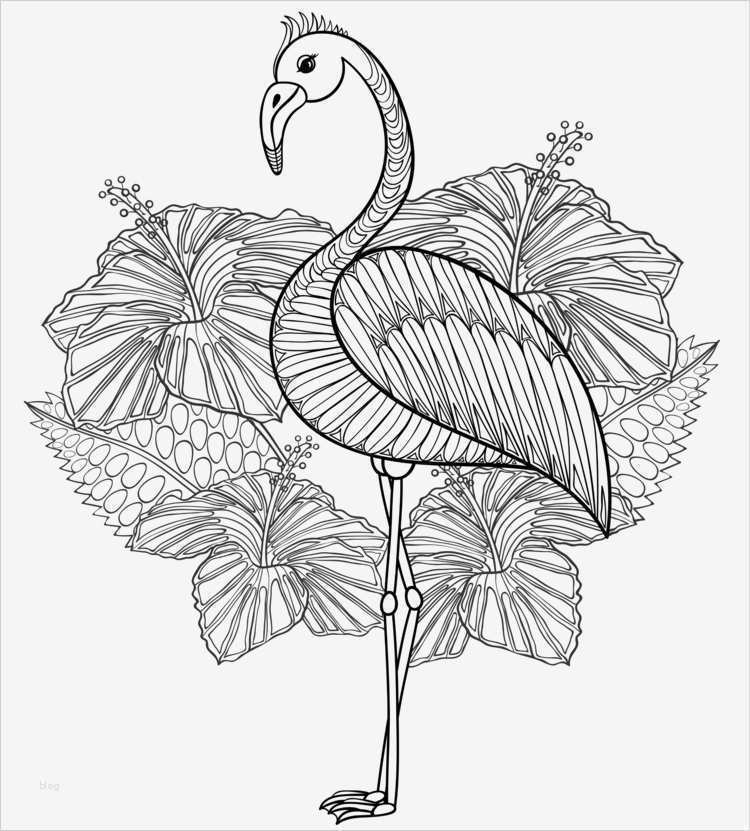 Zentangle Vorlagen Zum Ausmalen Erstaunlich Batman 34 Bilder Zum Ausmalen Blumen 34 Bilder Zum Ausmalen