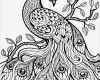 Zentangle Vorlagen Zum Ausmalen Erstaunlich Zentangle Vorlagen Gratis Ausdrucken Zum Ausmalen