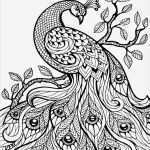 Zentangle Vorlagen Zum Ausmalen Erstaunlich Zentangle Vorlagen Gratis Ausdrucken Zum Ausmalen