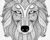 Zentangle Vorlagen Zum Ausmalen Neu Ausmalbild Wolf Zentangle