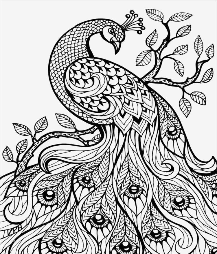 Zentangle Vorlagen Zum Ausmalen Wunderbar Zentangle Vorlagen Gratis Ausdrucken Zum Ausmalen