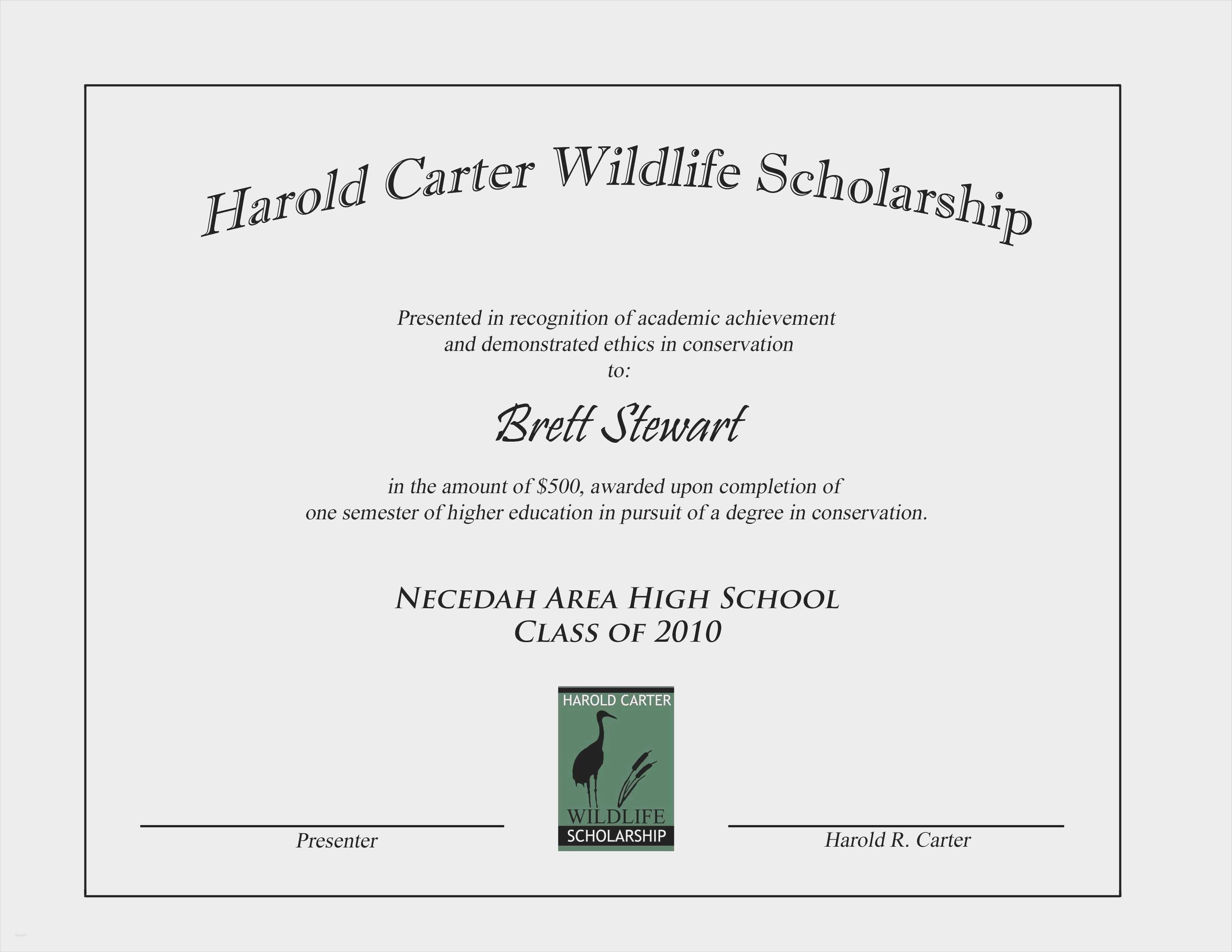 Zertifikat Vorlage Erstaunlich Fantastisch Erster Platz Preis Zertifikat Vorlage