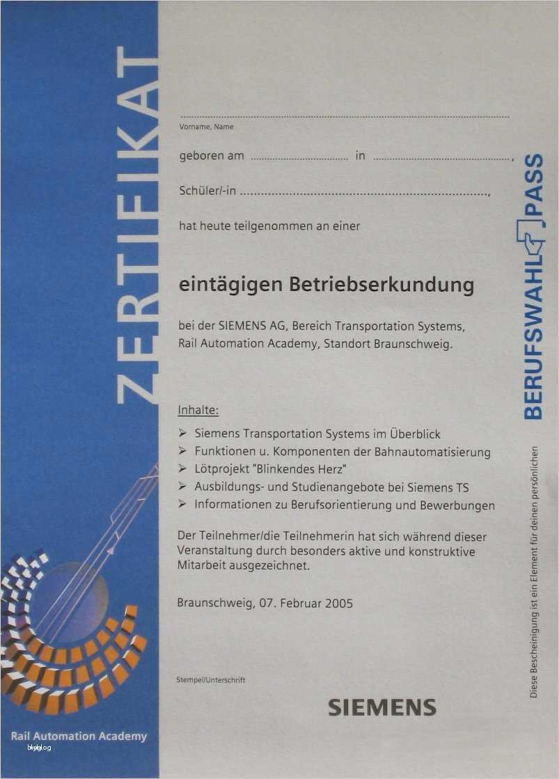 Zertifikat Vorlage Erstaunlich Niedlich Word Zertifikat Vorlagen Zeitgenössisch Bilder