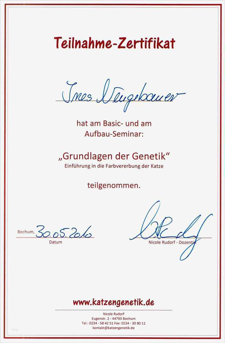 Zertifikat Vorlage Hübsch Fein Zertifizierung Vorlagen Ideen Bilder Für Das