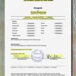 Zeugnis Vorlage Pdf Hübsch Multivorlage Zeugnisgenerator Zeugnisvorlagen