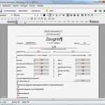 Zeugnis Vorlage Zum Ausfüllen Hübsch Rorig software Hilfe Zeugnisformulare Verändern Oder