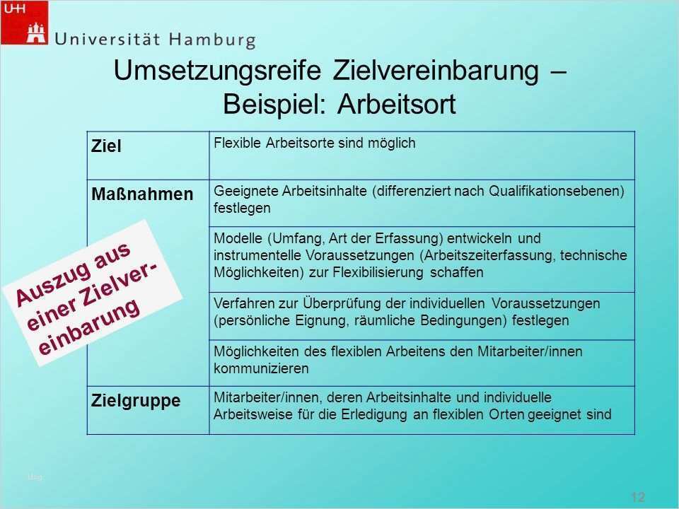 Zielvereinbarung Vorlage Erstaunlich Prof Dr Ingrid Gogolin Stellvertretende