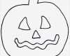Zum Basteln Vorlagen Erstaunlich Halloween Basteln Vorlagen & Ideen Zum Ausdrucken