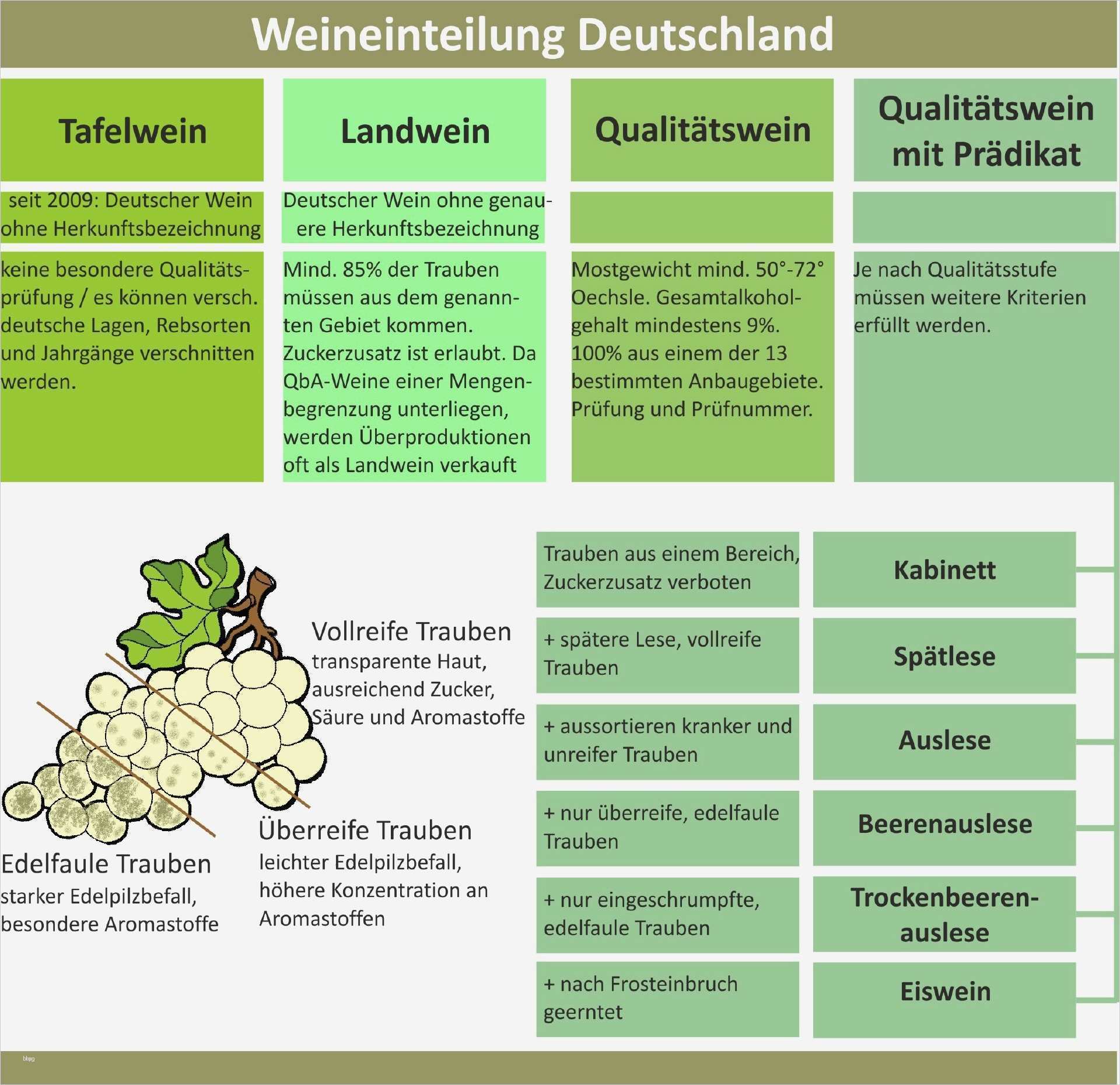 8d Report Vorlage Englisch Luxus 53 Beste Temperaturkontrolle Gastronomie Vorlage Vorräte
