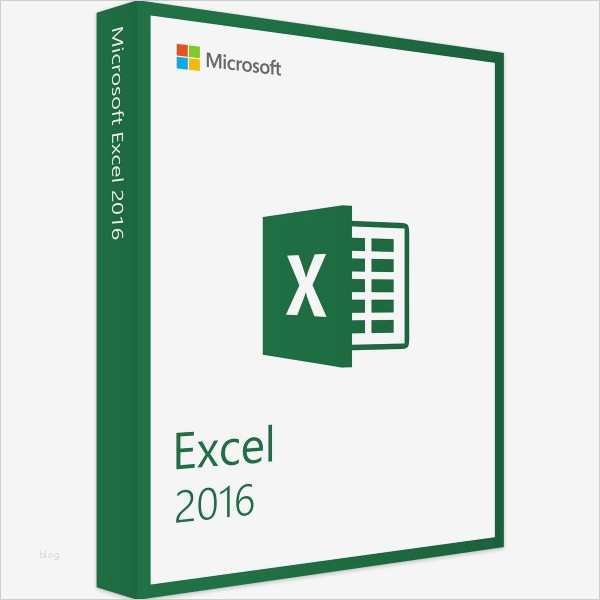 Access Projektmanagement Vorlage Hübsch Contemporary Microsoft Excel Zertifikat ornament Line