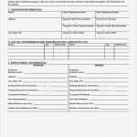 Access Projektmanagement Vorlage Schönste Gallery Of Leistungskontrolle Der Mitarbeiter Vorlage