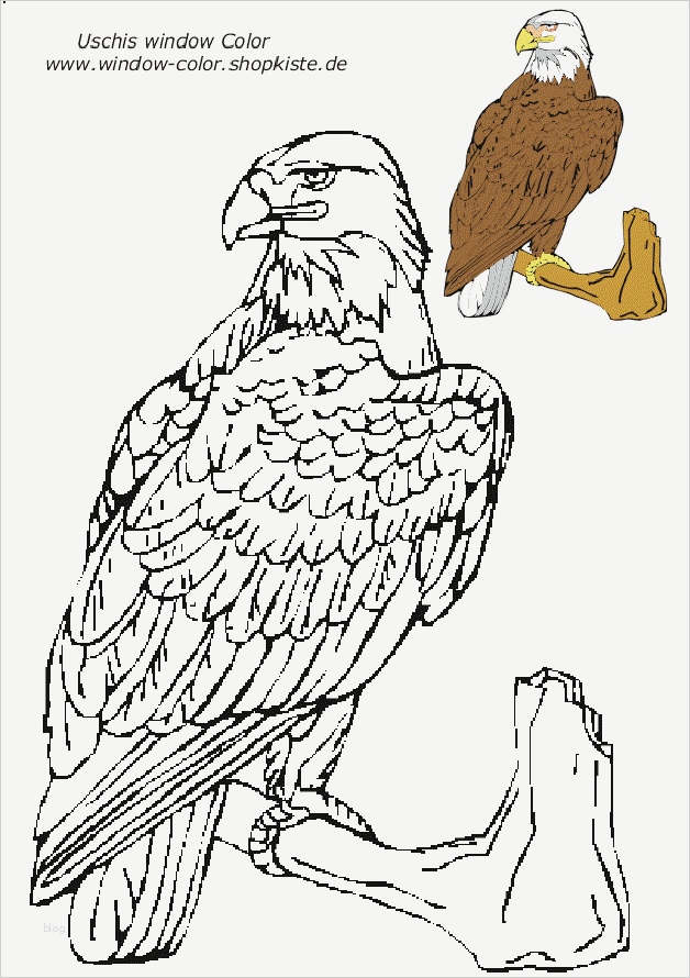Adler Schnitzen Vorlagen Angenehm Tiere Vorlagen 2