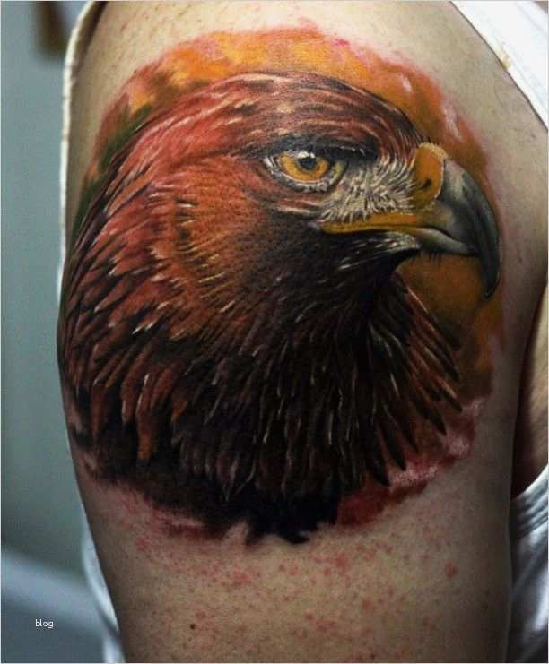 Adler Schnitzen Vorlagen Best Of Die 25 Besten Ideen Zu Adler Tattoos Auf Pinterest