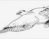 Adler Schnitzen Vorlagen Bewundernswert Ausmalbilder Blumen