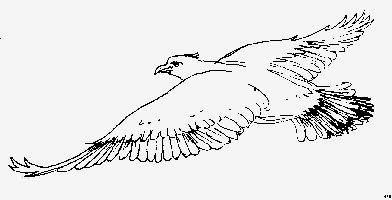 Adler Schnitzen Vorlagen Bewundernswert Ausmalbilder Blumen